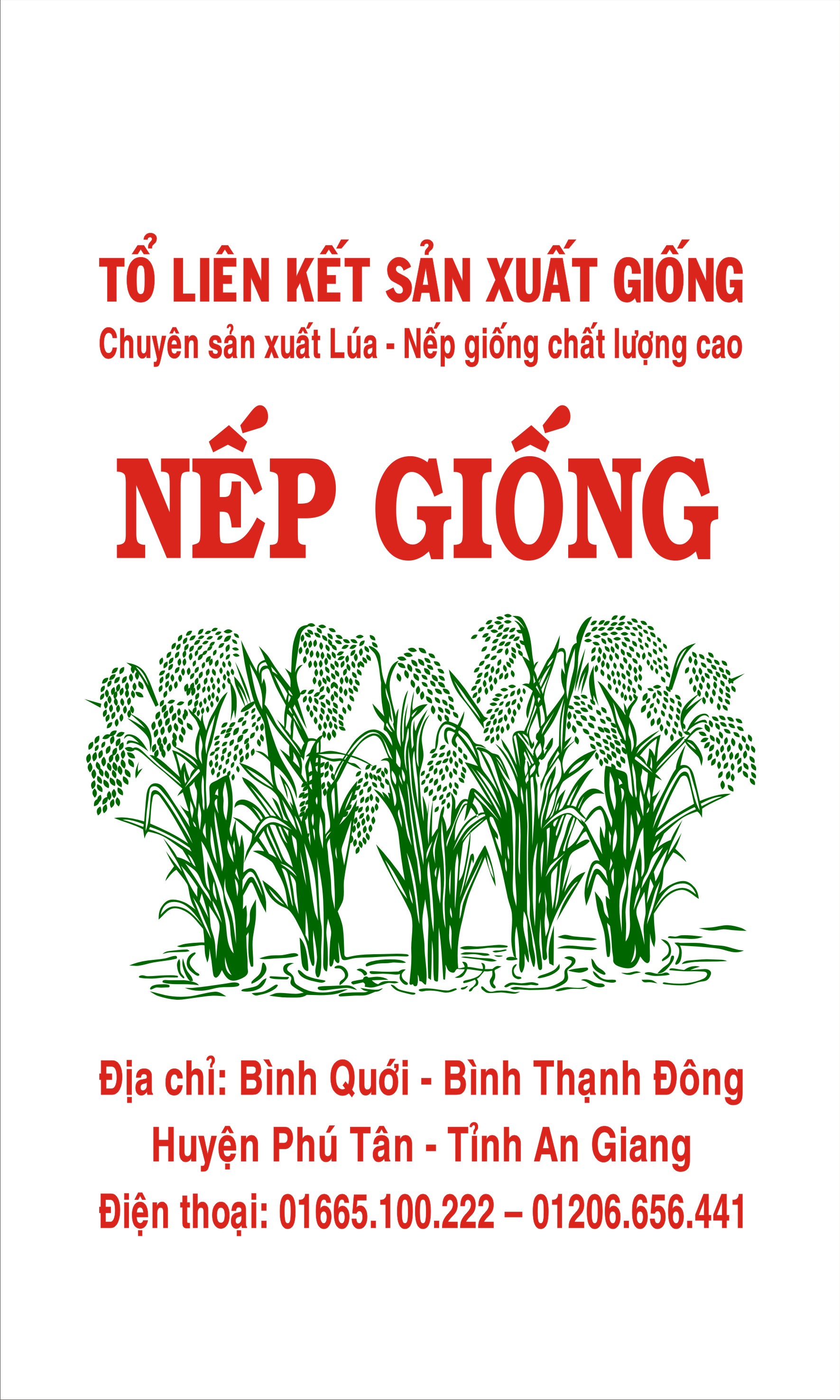 BAO NẾP GIỐNG
